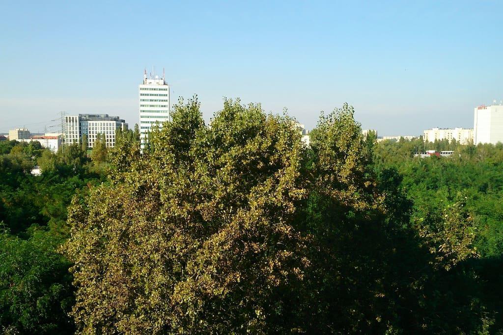 1 Bedroom Francuska Park Apartment Катовіце Екстер'єр фото