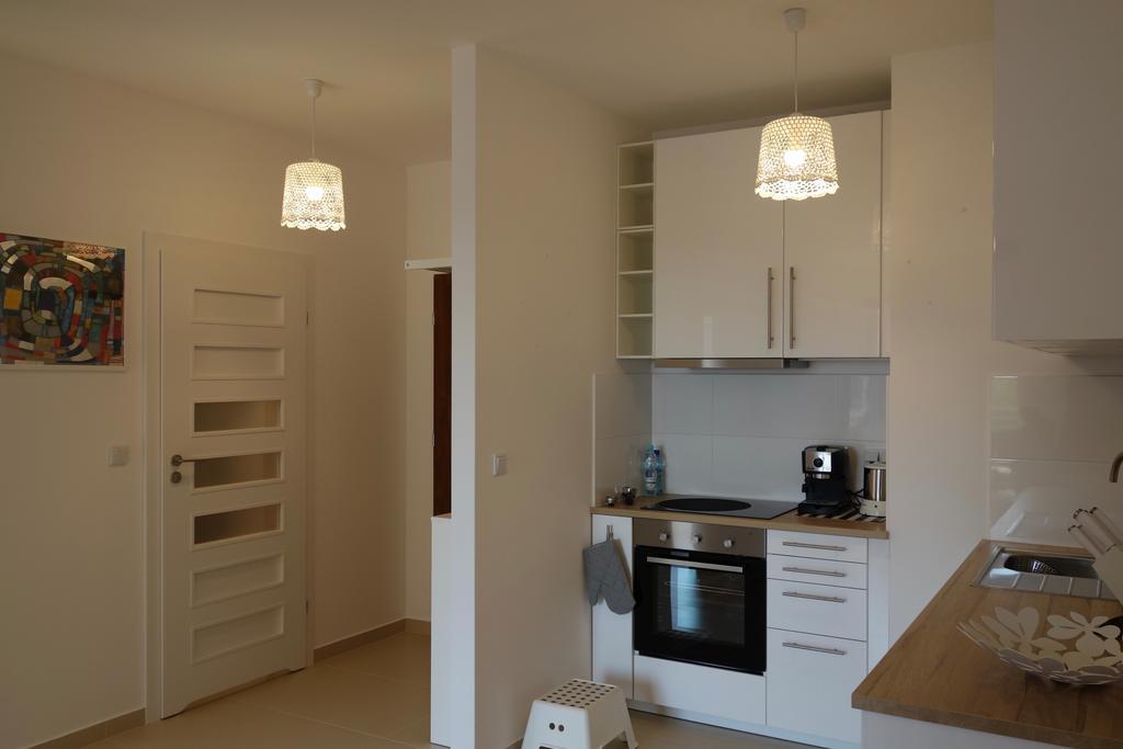 1 Bedroom Francuska Park Apartment Катовіце Екстер'єр фото